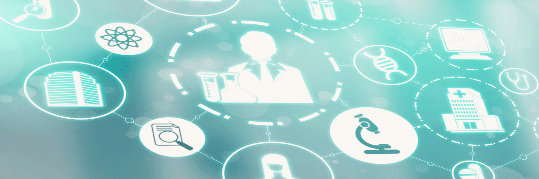 banner testata