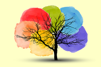 FAD regionale su salute e benessere delle persone LGBTQIA+