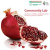 Community Lab. Innovare la Pubblica Amministrazione attraverso processi collettivi